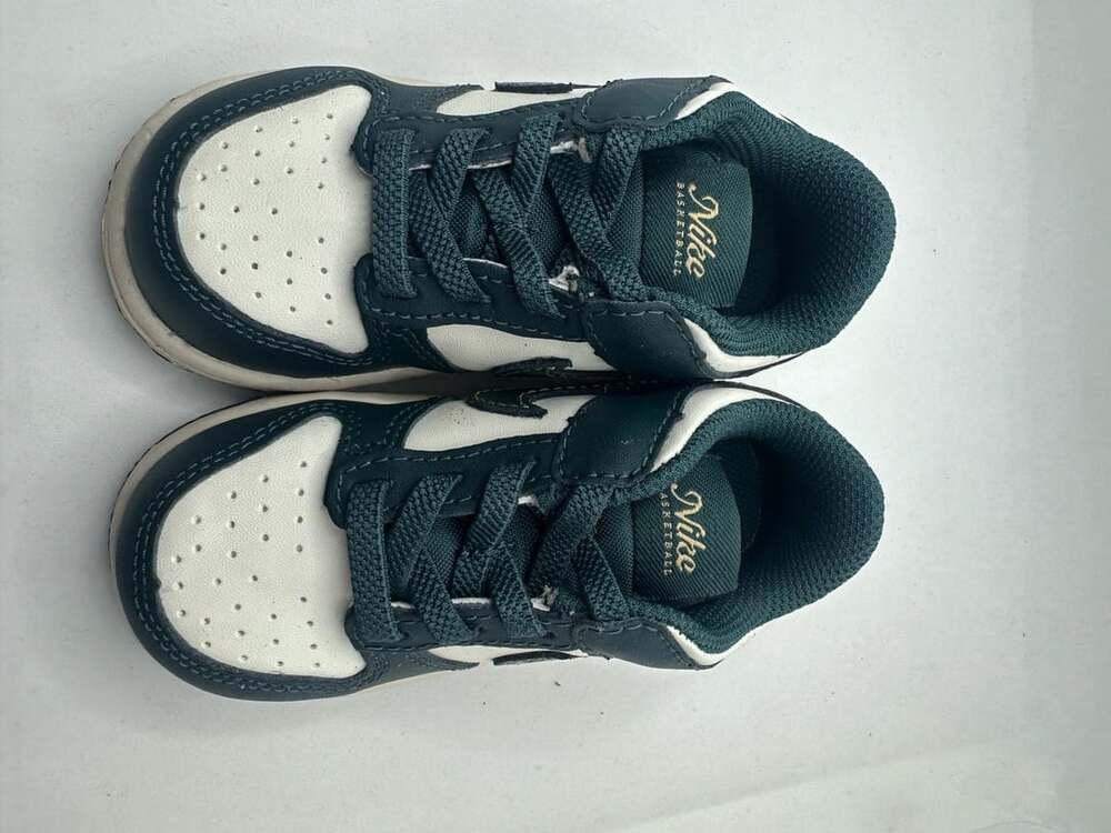 Nike Dunk Low Size 6C Deep Jungle Vintage Green Toddler Sneakers